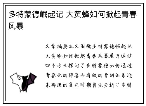 多特蒙德崛起记 大黄蜂如何掀起青春风暴 多特蒙德崛起记 大黄蜂如何掀起青春风暴